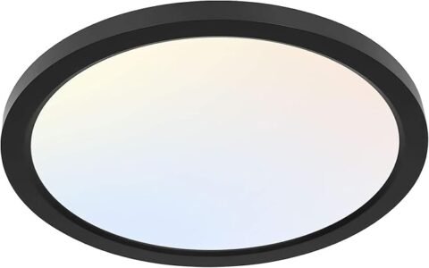 hykolity 12 Inch Selectable CCT LED Round Flat Panel Light, 24W 3000K/4000K/5000K, Edge-Lit Flush Mount Ceiling Light Fixture for Kitchen, Bedroom, Laundry and Closet Room，Black
