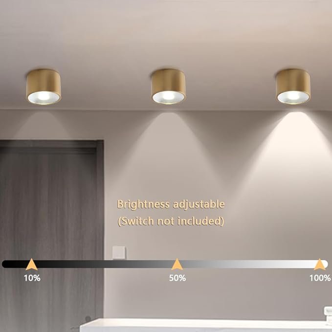Sedelan Brass Ceiling Spot Lights Indoor, LED Ceiling Spot Light, Cylinder Mini Ceiling Spotlight, Dimmable Ceiling Lights for Kitchen Hallway Dining Room Foyer, 4500K 7W - Image 2